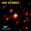 HD 310863
