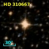 HD 310667