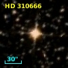 HD 310666