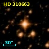 HD 310663
