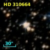 HD 310664
