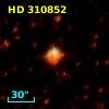 HD 310852