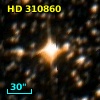 HD 310860