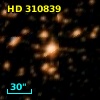 HD 310839