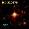 HD 310875