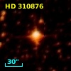 HD 310876