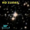 HD 310565