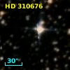 HD 310676