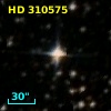 HD 310575