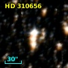 HD 310656