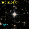 HD 310677