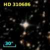 HD 310686