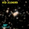 HD 310690