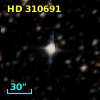 HD 310691