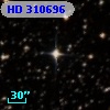 HD 310696