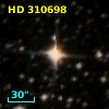 HD 310698