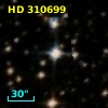 HD 310699
