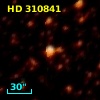 HD 310841