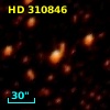 HD 310846