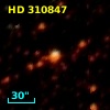 HD 310847