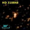 HD 310848