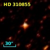 HD 310855