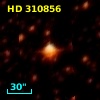 HD 310856