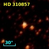 HD 310857