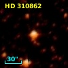 HD 310862