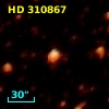 HD 310867