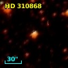 HD 310868