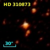 HD 310873