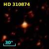 HD 310874