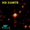HD 310878