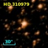 HD 310979