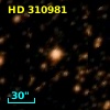 HD 310981