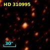 HD 310995