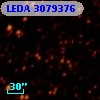 LEDA 3079376