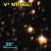 V* NT Mus