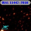 IRAS 11442-7010