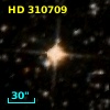 HD 310709