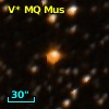 V* MQ Mus