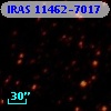 IRAS 11462-7017