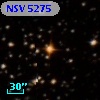NSV  5275