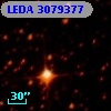 LEDA 3079377