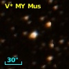 V* MY Mus