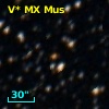 V* MX Mus