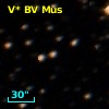 V* BV Mus