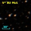 V* BU Mus