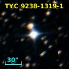 TYC 9238-1319-1
